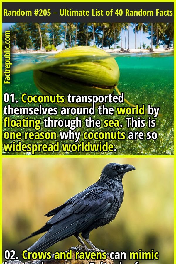 How Random Fact Generators Work to Share Verified Knowledge