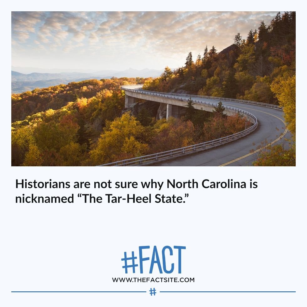 Top Random Fact Generators & Tools Offer Fun Daily Knowledge